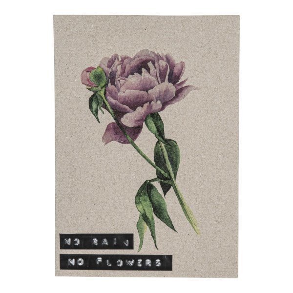 Postcard recycled flower 'no rain no flowers'